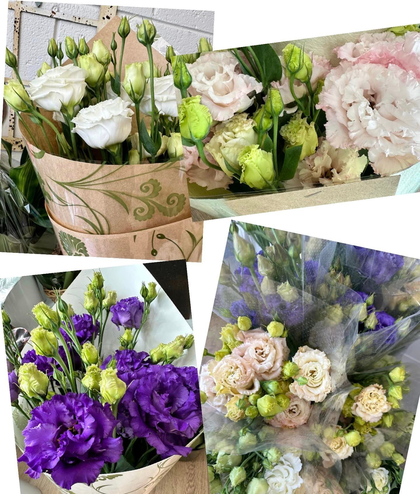 Tasmanian Lisianthus Wrap Includes Delivery My Florist Launceston